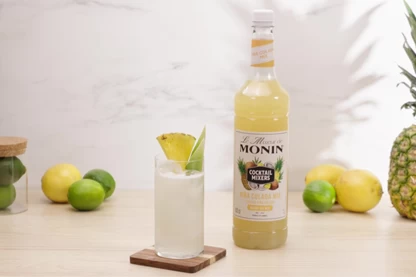 Le Mixeur Pina Colada